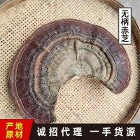 森林之愛(ài)野生無(wú)柄赤芝紅塊靈芝批發(fā)泡酒煮茶一斤裝無(wú)蒸煮無(wú)熏硫
