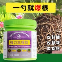 生根粉植物通用型水培綠植花卉盆栽擺攤花盆鮮花花瓶多肉專用大號