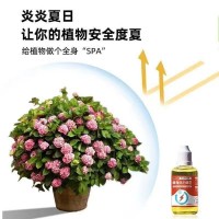 植物通用型活力素養(yǎng)花專用快速復活激活液促芽壯根多肉綠植育苗盤