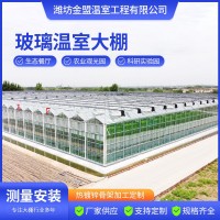 玻璃溫室鋼架大棚 全套建造新型智能玻璃大棚廠家批發(fā)