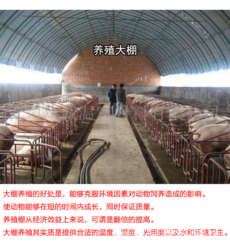 詳情11.jpg