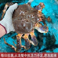 帝王蟹海鮮鮮活10斤大皇帝蟹長腳蟹3-9斤/只順豐廠家獨(dú)立站批發(fā)