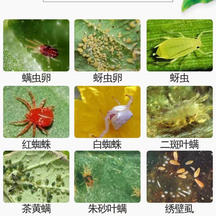 詳情8.jpg