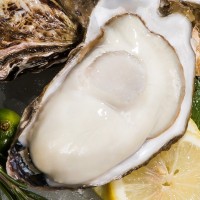 【包郵5斤裝(凈重4斤)】乳山鮮活生蠔海蠣子 大牡蠣穩(wěn)定貨源批發(fā)