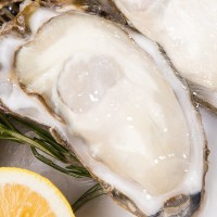 乳山生蠔牡蠣鮮活海蠣子自助海鮮燒烤夜市小吃攤生蠔批發(fā)一件代發(fā)