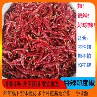 超辣印度干辣椒 特辣變態(tài)辣魔鬼辣批發(fā)餐飲商用現(xiàn)貨可切段干辣椒