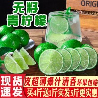 無(wú)籽青檸檬新鮮薄皮青檸一級(jí)無(wú)子香水檸檬小青檸奶茶維生素檸檬
