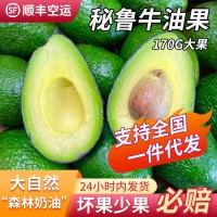 進口秘魯牛油果進口水果巨無霸牛油果奶油熱帶新鮮水果一件代發(fā)