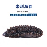 長(zhǎng)刺米刺參土耳其海參深海海參散貨干貨