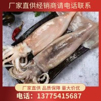 大魷魚整只新鮮冷凍大魷魚鮮魷魚阿根廷大魷魚優(yōu) 魷魚批發(fā)