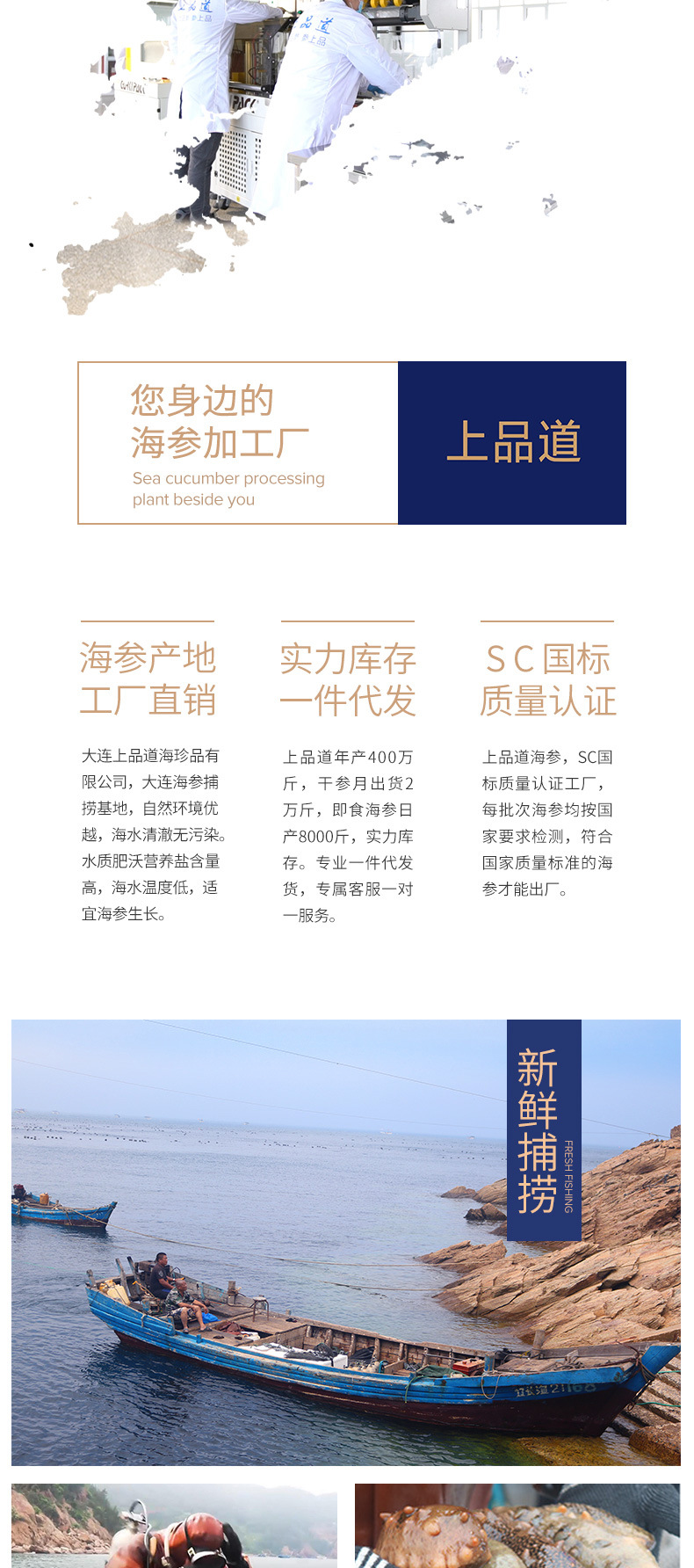 即食海參_02