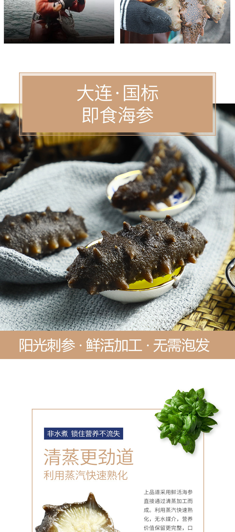即食海參_03