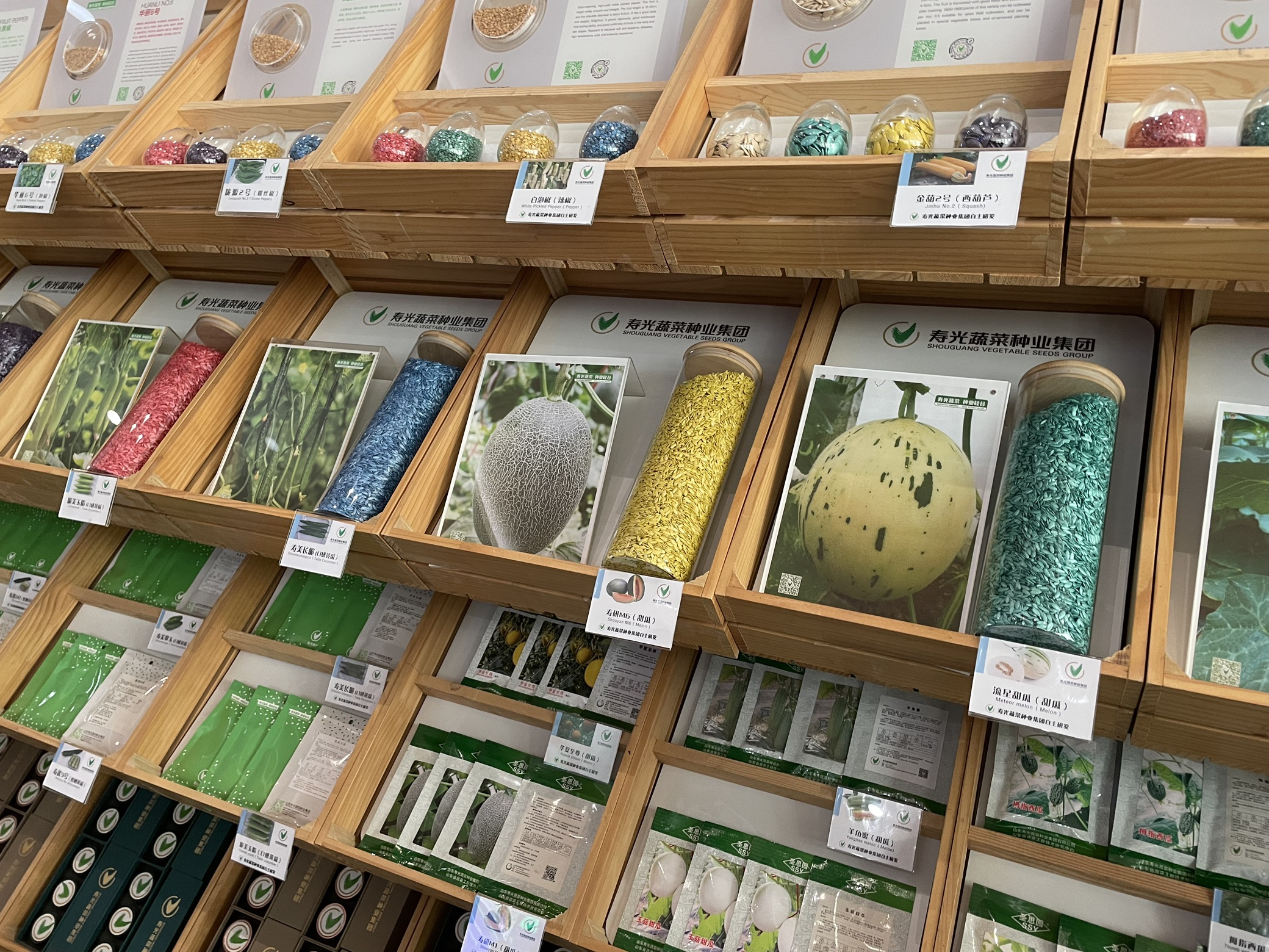 高質(zhì)量發(fā)展調(diào)研山東行丨從一顆種子到一盤好菜，壽光蔬菜產(chǎn)業(yè)這樣進(jìn)階