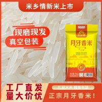 廠家批發(fā)22年新米 月牙香米10斤貓牙米5kg 當(dāng)月現(xiàn)磨新鮮日期秈米