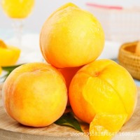 正宗蒙陰黃桃新鮮水果黃金當季孕婦蜜桃甜脆桃子現(xiàn)貨整箱10斤包郵