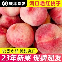 丹東河口艷紅桃子新鮮當季水果脆甜孕婦水蜜桃順豐五斤一件包郵