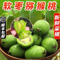 軟棗獼猴桃丹東2斤迷你奇異果當季現摘新鮮水果順豐一件整箱包郵
