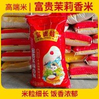 高端米富貴茉莉香米KDML 香稻品種廣西象州大米香米南方高端香米