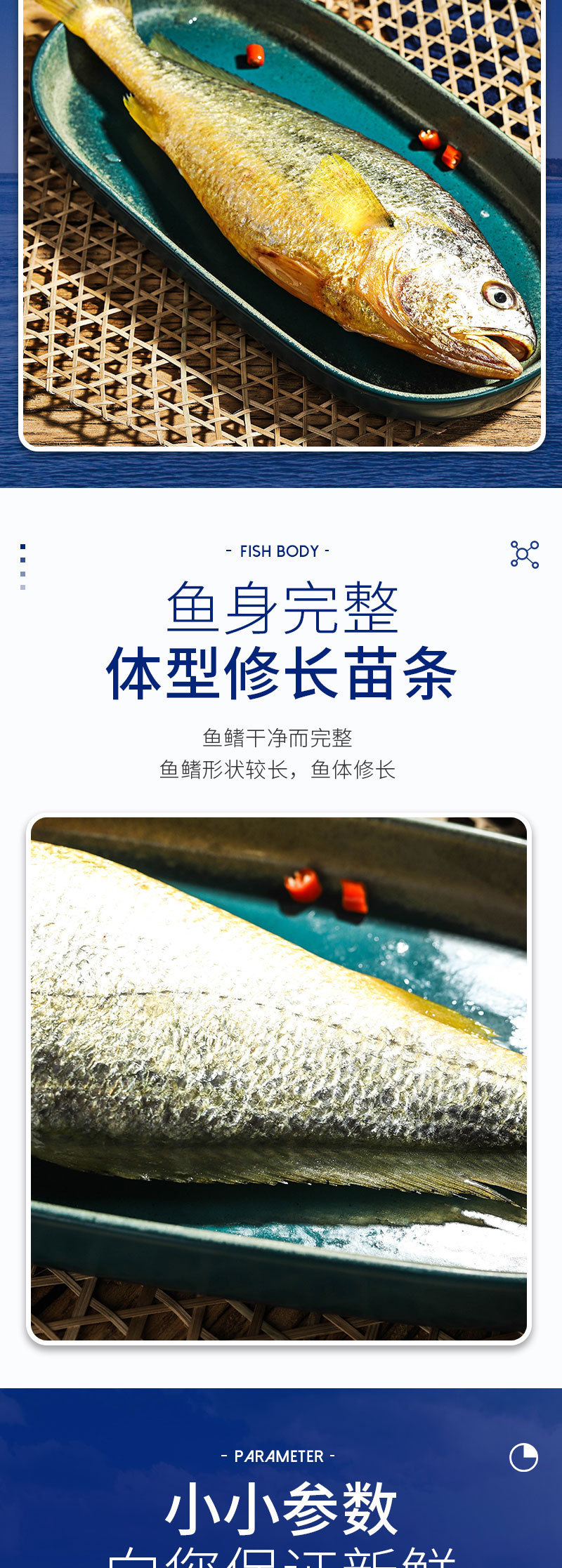 安如信水產-深海大黃魚_08