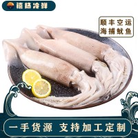 海捕大魷魚凍貨整只新鮮火箭魷魚野生鮮魷魚須魷魚頭冷凍魷魚批發(fā)