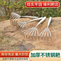 廠商直供趕海工具 不銹鋼一體耙子 園藝工具不銹鋼小耙子
