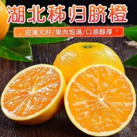 秭歸高山夏橙臍橙新鮮橙酸甜橙手剝橙水果產(chǎn)地直發(fā)應(yīng)季橙子批發(fā)