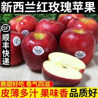 【順豐】新西蘭紅玫瑰蘋果 新鮮脆甜taylor進(jìn)口紅玫瑰蘋果 一件代