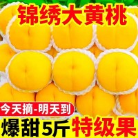 黃金油桃錦繡黃桃甜大黃桃新鮮水果水蜜桃脆甜毛桃一整箱批發(fā)價