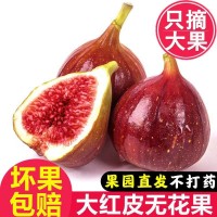 無花果新鮮紅皮大果應(yīng)季甜糯孕婦水果5/3斤當(dāng)季青皮整箱批發(fā)跨境