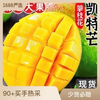 四川攀枝花凱特芒果當季新鮮水果特大芒果青皮整箱攀枝花凱特芒