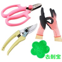 花藝剪刀工具套裝園藝剪修枝剪鮮花店插花剪刀玫瑰鉗打刺鉗去刺寶