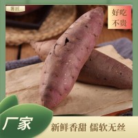 高質(zhì)量天然炭烤缸薯 沙地番薯口感新鮮 薯匠 長(zhǎng)期供應(yīng)