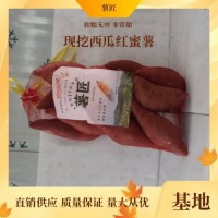 薯匠 供應(yīng)鮮美香甜營養(yǎng)紅心紅薯甘薯地瓜 糖化口感好