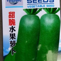 蔬菜種子批發(fā) 甜脆水果蘿卜 根肉淺綠色 品質(zhì)優(yōu) 晚秋 7克