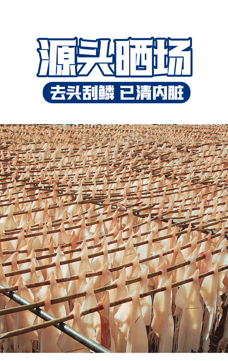 790_07.jpg