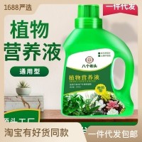 廠家直供通用型植物營養(yǎng)液濃縮液體肥土培水培高效吸收一件代發(fā)
