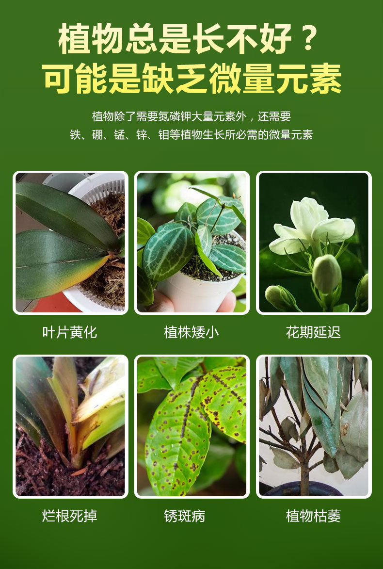 營(yíng)養(yǎng)液詳情_(kāi)03.jpg