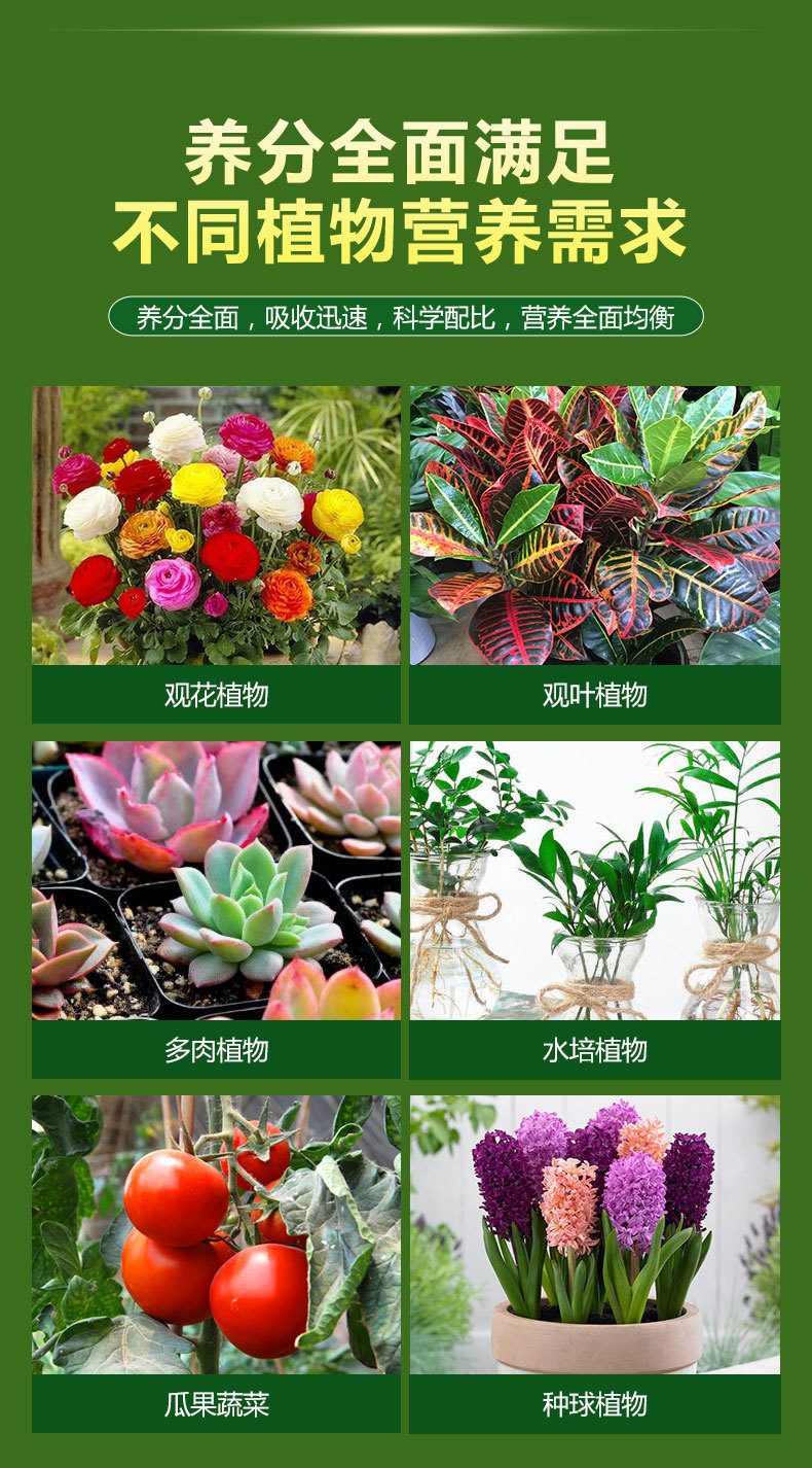 營(yíng)養(yǎng)液詳情_(kāi)06.jpg
