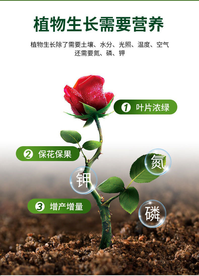 營(yíng)養(yǎng)液詳情_(kāi)18.jpg