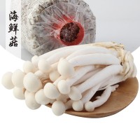 新鮮海鮮菇白玉菇食用菌菇類煲湯新鮮蔬菜蘑菇制品飯店批發(fā)實(shí)惠