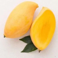【一件代發(fā)】云南鷹嘴芒新鮮水果整箱芒果10斤當季水仙金煌大青皮