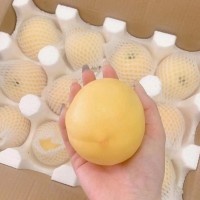 【一件代發(fā)】芒果桃子大連特產(chǎn)新鮮桃子順豐包郵孕婦水果脆甜