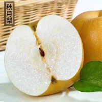 山東萊陽秋月梨水果4.5斤梨子新鮮斤當季甜雪梨豐水冰糖梨整箱