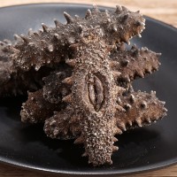 源頭廠家 熱賣淡干刺參40-120頭高泡發(fā) 海參干貨批發(fā)代發(fā)量大從優(yōu)
