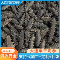 大連野生半干海參佛跳墻原料遼參刺參海參干貨海參禮盒裝海鮮批發(fā)