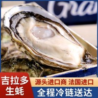 吉拉多法國進口生蠔產地批發(fā)海鮮鮮活生蠔大量批發(fā)水產大生蠔即食
