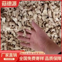 1號雙剪香菇腳香菇腿25KG絲柄把大量批發(fā)DRIED MUSHROOM STEM冬菇