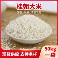 桂朝大米糕米線腸粉米線專用大米早稻米豆腐貴朝米商用大米50kg裝