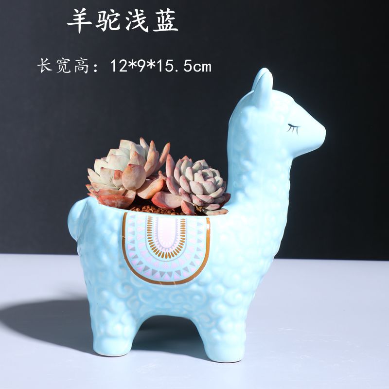 羊駝淺藍(lán)