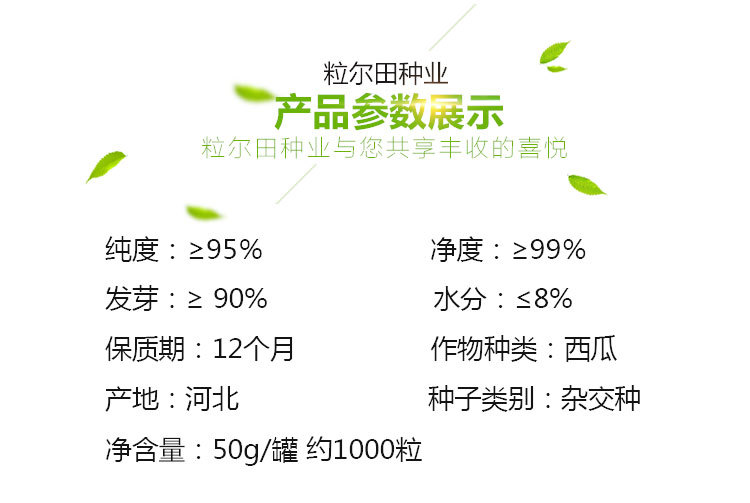 雙欣世嘉_02.jpg